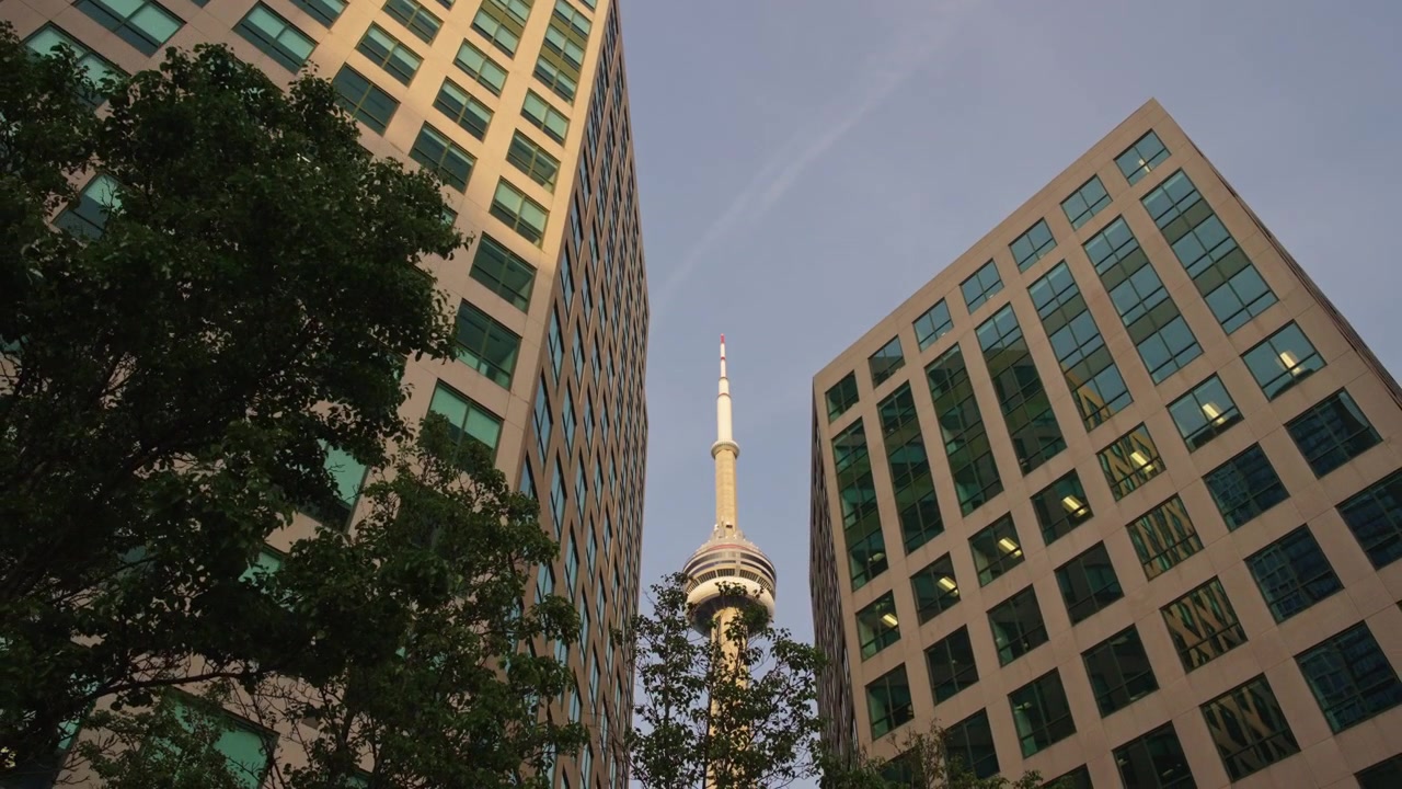 Torre CN surgindo entre arranha-céus modernos de vidro e árvores no centro da cidade. Tomada de revelação com recuo de câmera.