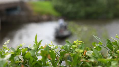 canal view with boat and plants