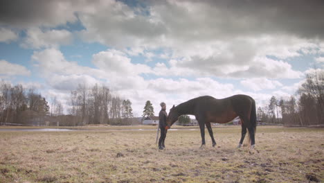 Horse-interacts-with-woman-in-field-during-equine-facilitated-wellness-activity