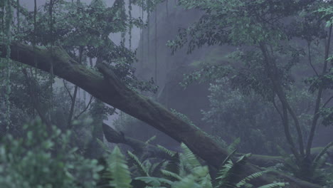 lush rainforest with fallen tree captured in misty atmosphere