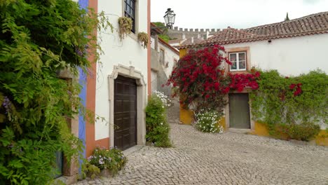 red flowers growing on the walls of house in castle of óbidos