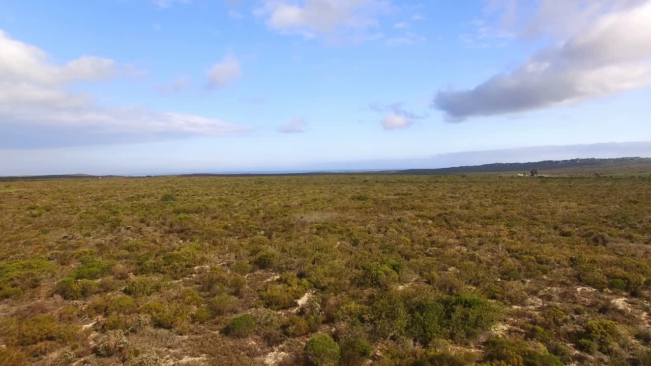 vista del paisaje verde