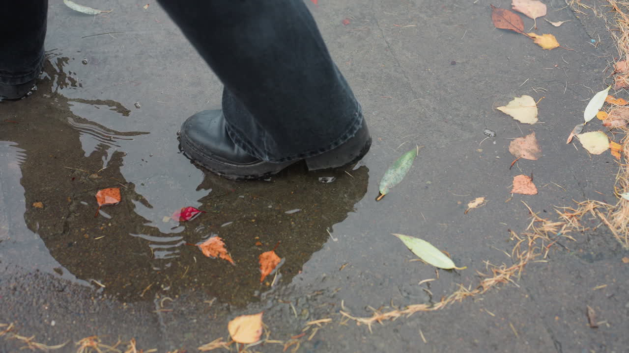 Water puddle on wet paved path scattered with colorful autumn leaves and pine needles reflecting bare trees above, as black boot gently steps near edge during peaceful overcast day
