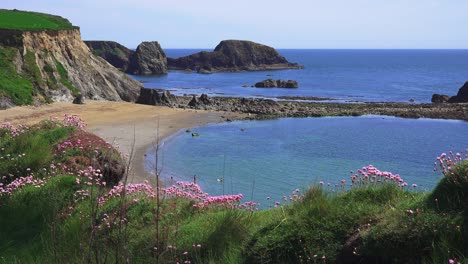 Irish coastal landscapes wild beauty copper Coast Waterford epic landscapes