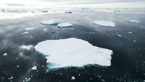 Erstaunliche-Luftpolarlandschaft