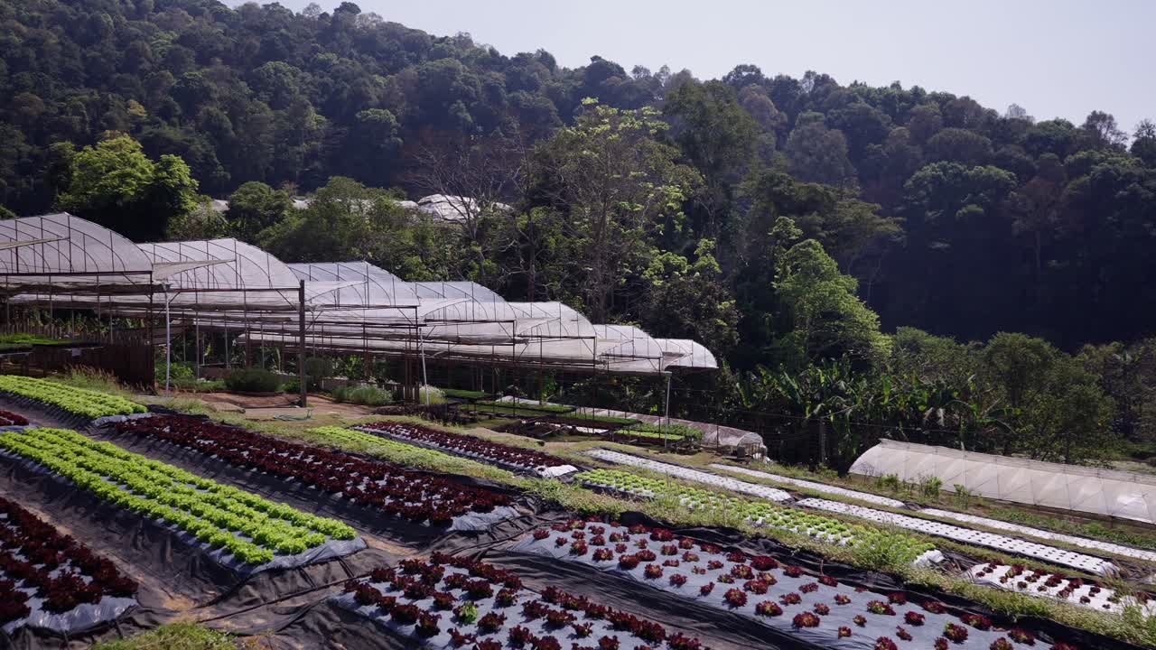 Agricultural Farm with Greenhouses and Crop Fields in a Hilly Rural Landscape
