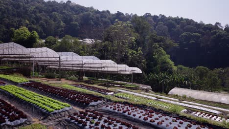 agricultural farm with greenhouses and crop fields in a hilly rural landscape
