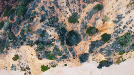 The-bird's-eye-aerial-view-captures-the-rocky-coastline-of-Portugal,-where-the-gentle-splashes-of-sea-waves-caress-the-rugged-formations-on-the-coast-with-vegetation-and-greenery