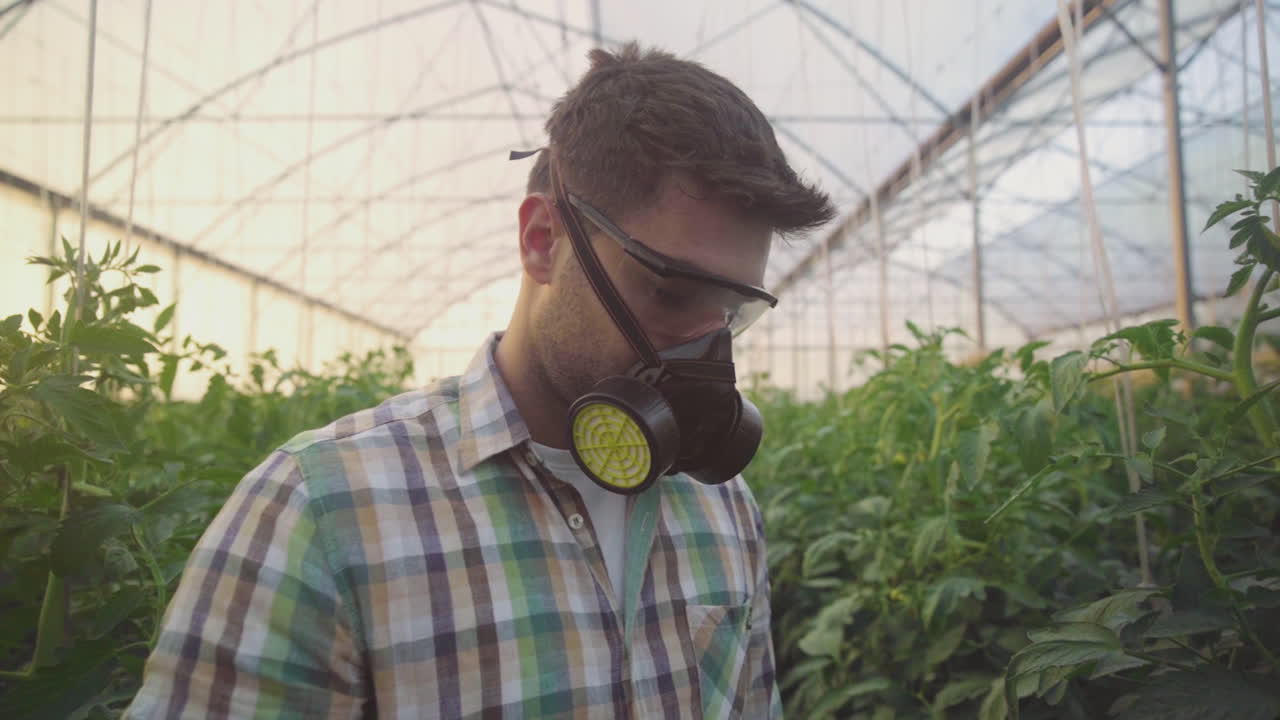 Worker in Greenhouse with Respiratory Protection