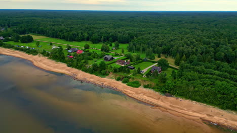 gulf of riga, baltic sea coastline latvia, dense spruce tree forest, aerial