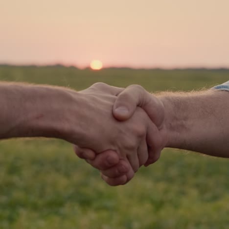 Farmers-shake-hands-against-a-green-field