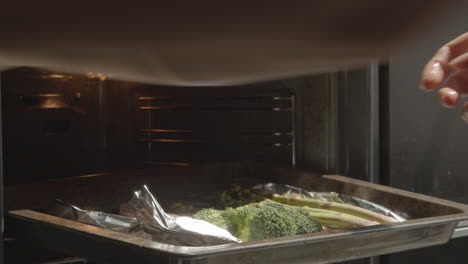 meat with vegetables cooked in the oven