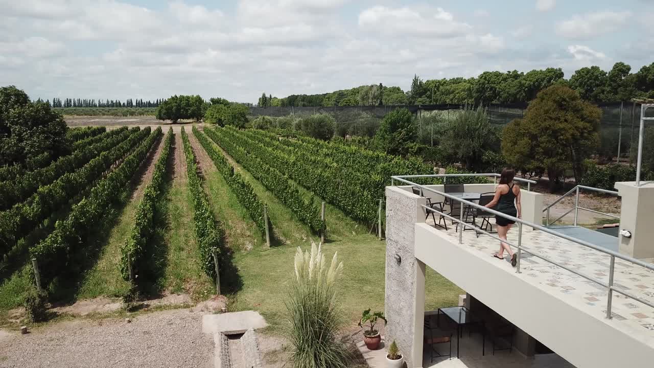 Young Female on Terrace With View of Vineyard Grape Rows in Mendoza Wine Country, Argentina
