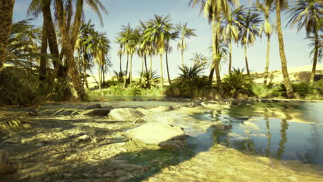 serene oasis in a desert landscape with lush palm trees and clear water