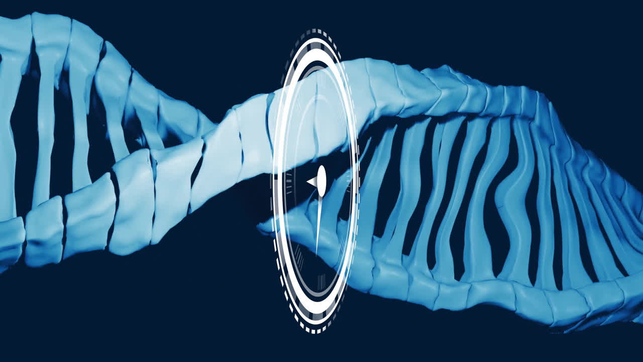 animación de reloj sobre cadena de adn, que representa el tiempo en la investigación genética