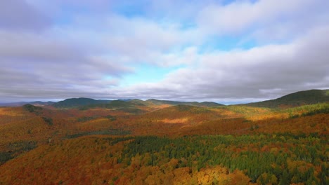 aerial footage orbiting over a evergreen ridge in a golden autumn forrest