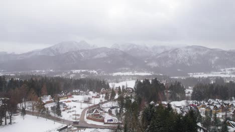 Schnelle-Drohnen-Dolley-Aufnahme-über-Einem-Wald-In-Zakopane-Mit-Den-Hohen-Bergen-Im-Hintergrund