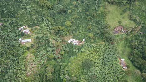 aerial-perspective-of-houses-nestled-amidst-lush-green-fields-in-Colombia