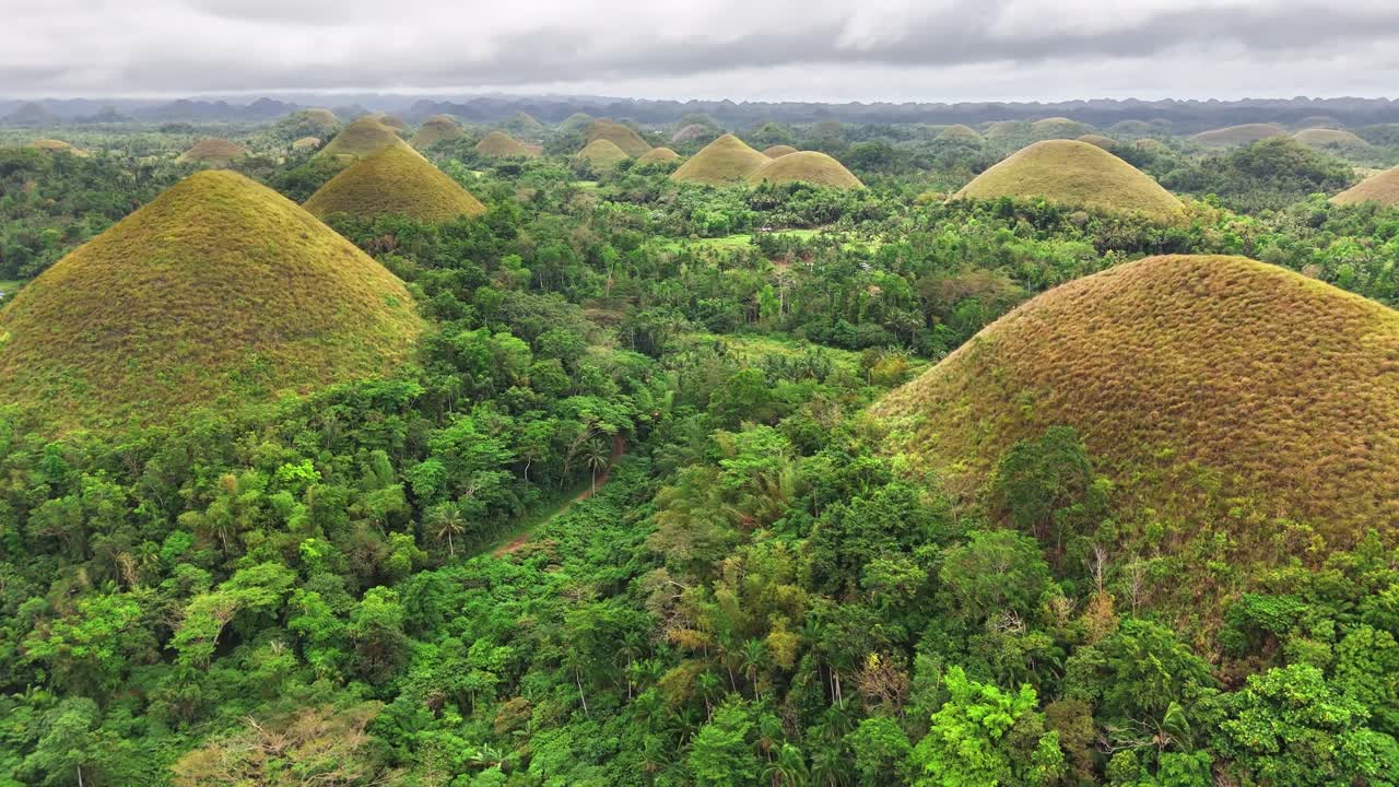 Lush tropical forest surrounds the iconic Chocolate Hills in Bohol, Philippines, featuring over a thousand dome-shaped mounds under overcast skies, forming a unique and dramatic natural landscape