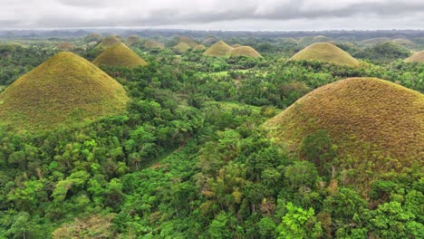 lush tropical forest surrounds the iconic chocolate hills in bohol, philippines, featuring over a thousand dome-shaped mounds under overcast skies, forming a unique and dramatic natural landscape