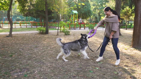 ペットの飼い主が犬と遊んでいる