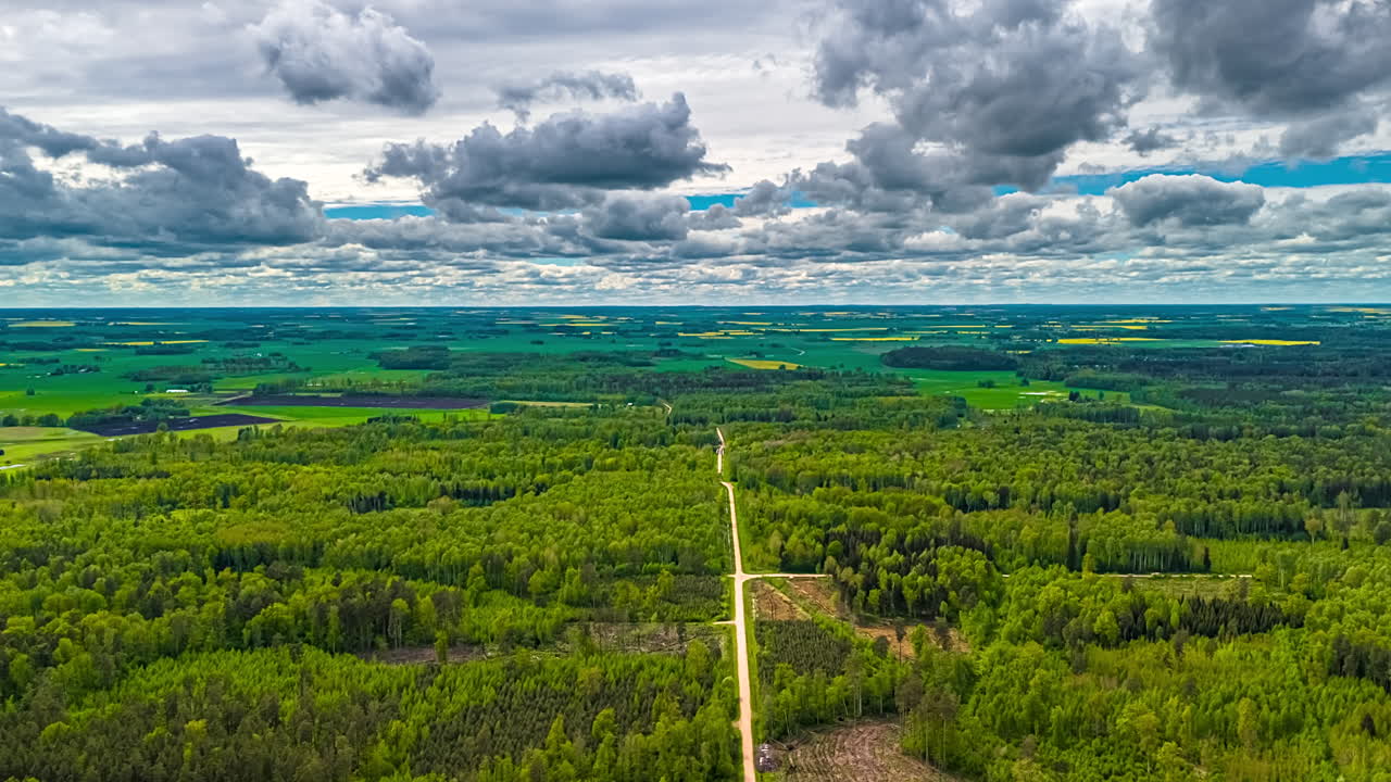 Forest road stretches through vibrant landscape as clouds drift across blue sky in dronee timelapse