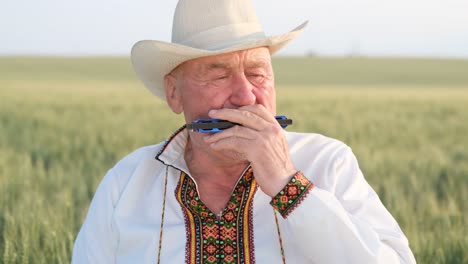 Senior man playing harmonica in wheat field