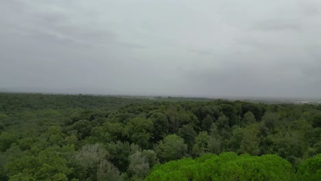 Cielo-Nublado-Sobre-Olivar,-Toscana-Italia