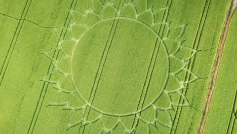 farmland crop circle meadow near potterne, county of wiltshire, england