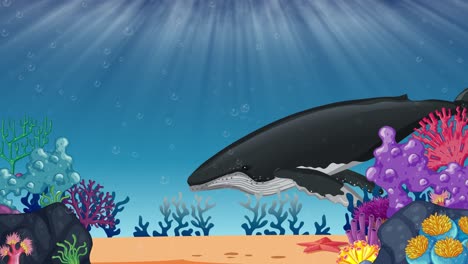 animated sequence showcasing world whale day