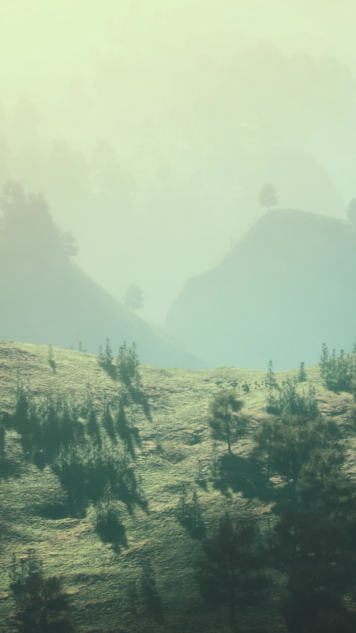 Paisaje montañoso de niebla