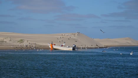 Establishing-slow-motion-shot,-fisher-mans-boat-parked-on-the-costal-bay-of-Adolfo-Lopez-Mateos-Baja-California-sur,-Mexico,-a-flock-of-herons-flying-around-the-bay