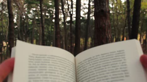 Closeup-View-Of-Reading-Book-Sitting-In-Forest