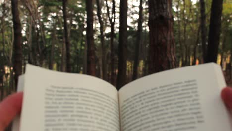 vista de cerca de la lectura de un libro sentado en el bosque