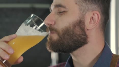 young brewer wearing a leather apron is tasting beer at a modern brewery