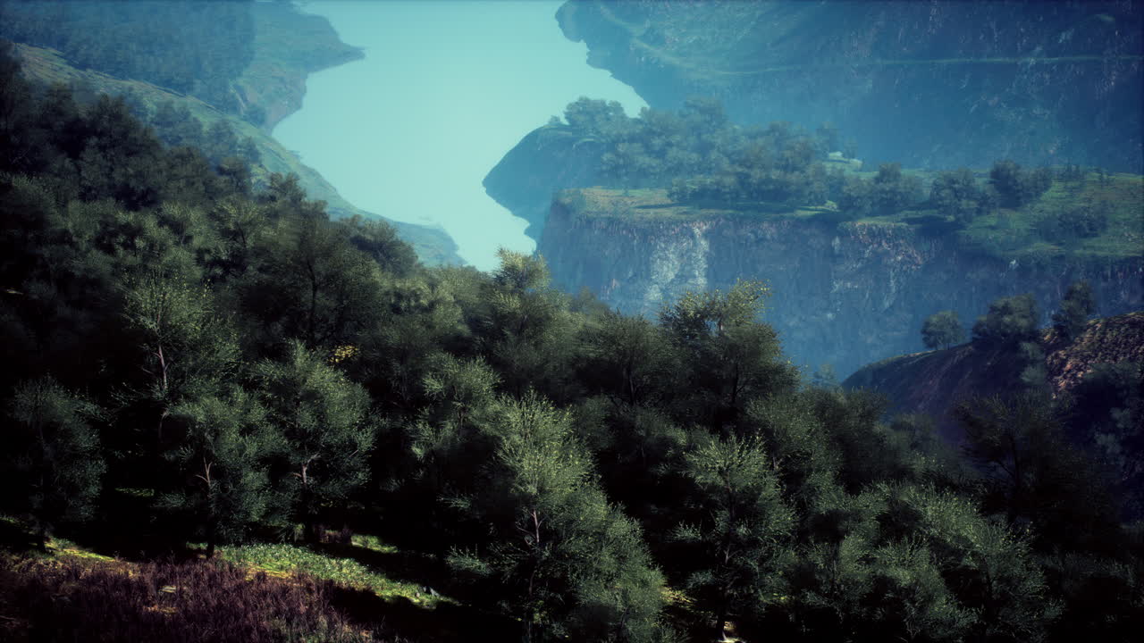 una vista aérea de la selva tropical en la mañana brumosa