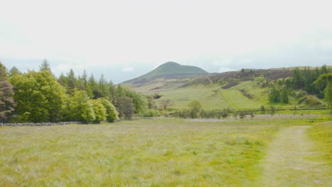 field plot with path bounded by rock wall in lomond hills, scotland