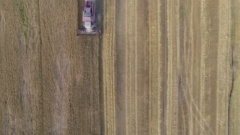 aerial view of a combine harvester harvesting a wheat field