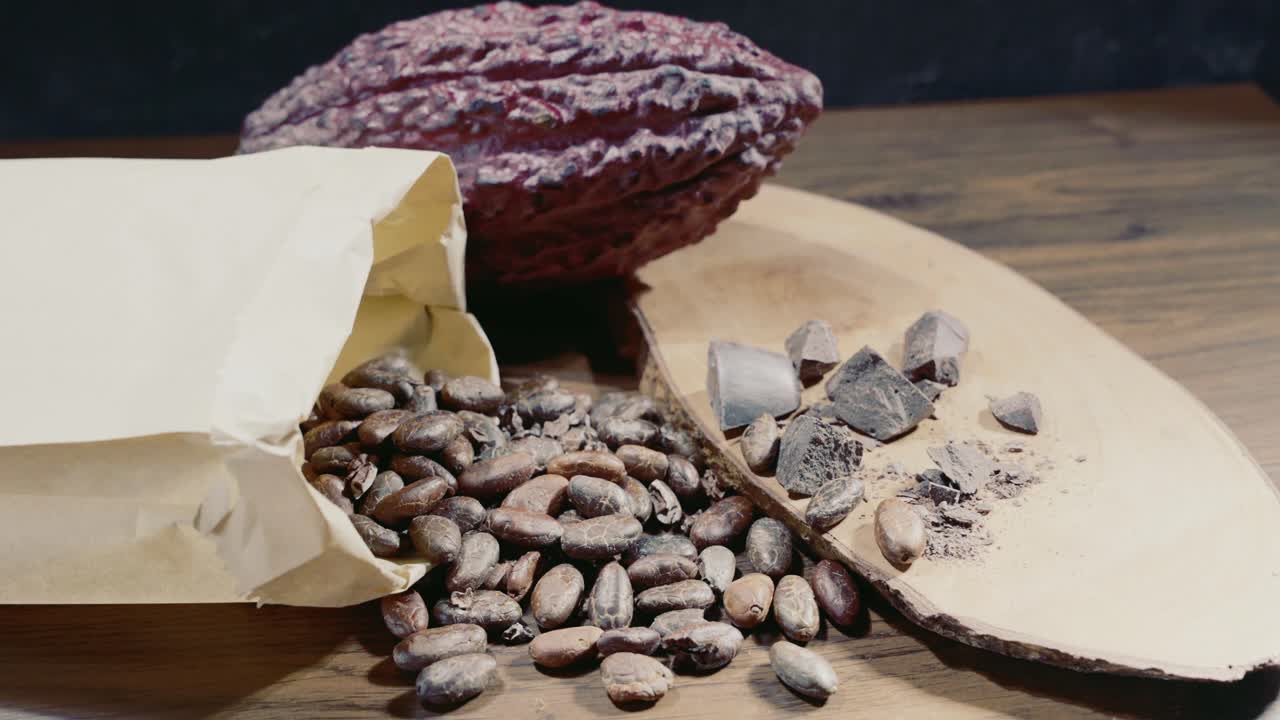 카카오 콩, 초콜릿 및 카카오 과일