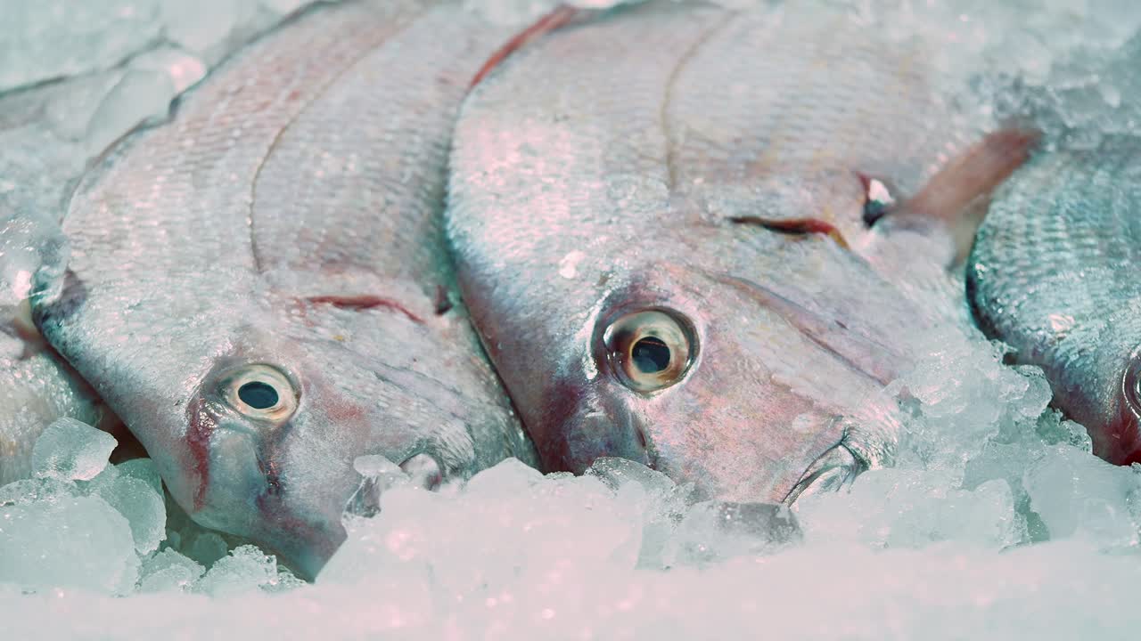 pescado fresco en hielo