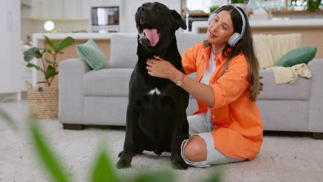 Black-dog-scratch,-woman-and-living-room