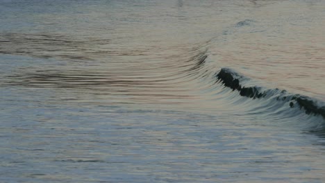 Waves-at-sunset-along-beach