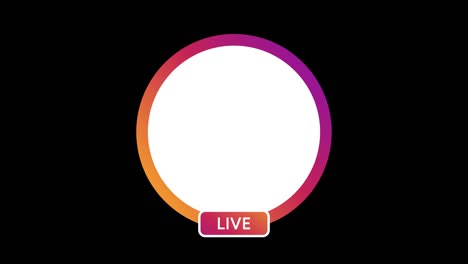 gradient circle profile frame for live streaming on social media motion graphics animation