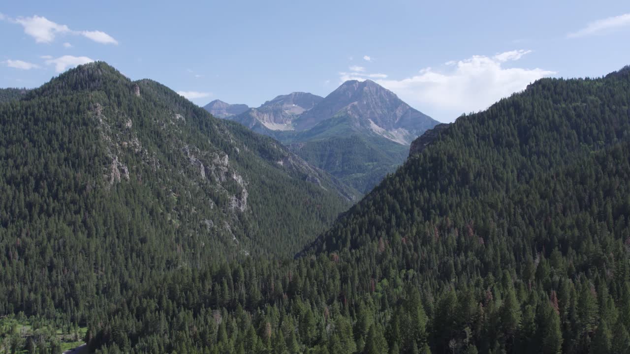 Beautiful Wasatch Mountains in American Fork Canyon on Summer Day, Aerial
