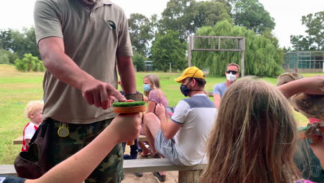 barn owl presentation to children