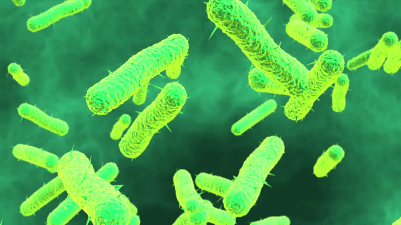 Bacteria Microscopic View