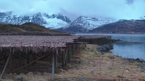 cinematic tracking shot of fish racks in the lofoten islands