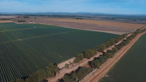 Campos-De-Fresas-En-El-Municipio-De-Baja-California-O-San-Quintin