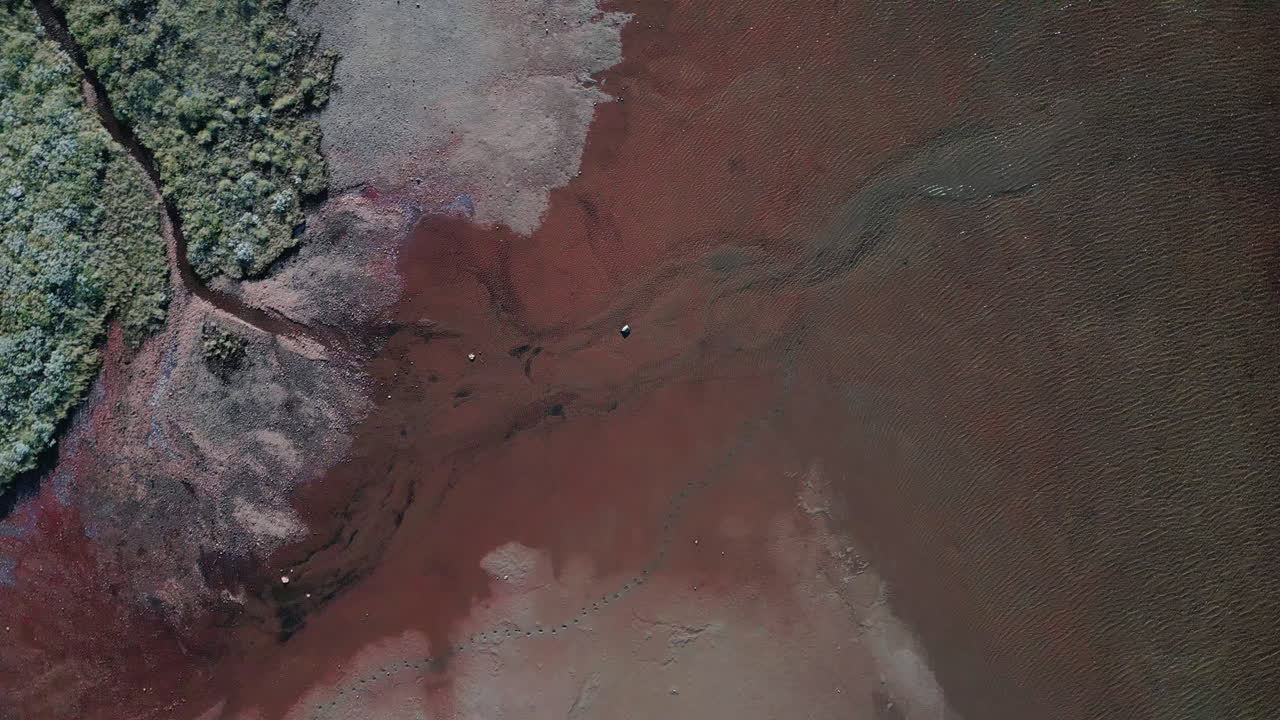 vista aérea de la parte superior giratoria sobre pequeños manantiales de agua que entran en el lago, vegetación baja en las orillas del lago, concepto de naturaleza intacta