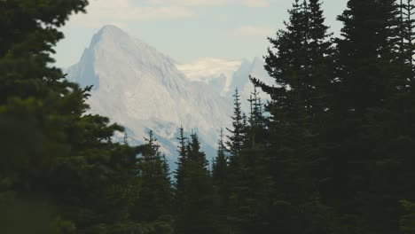 a beautiful view of the canadien mountains on a clear blue sunny day